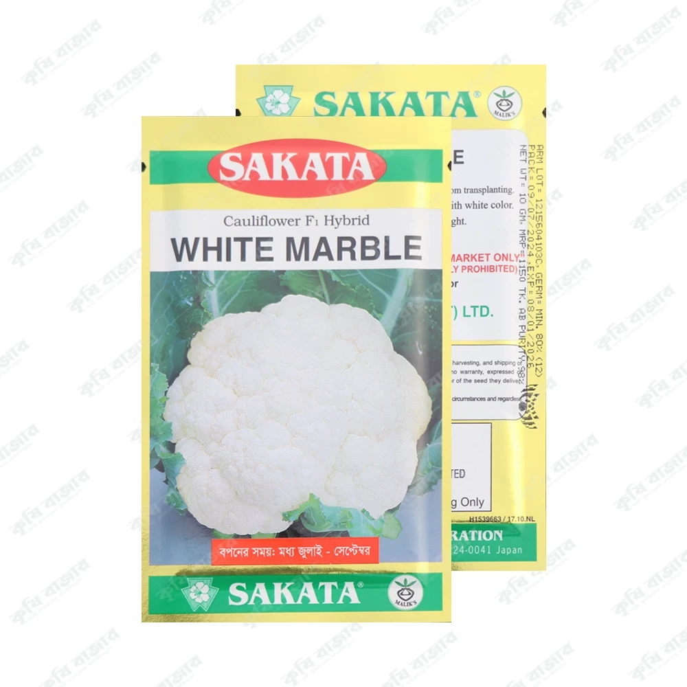 হোয়াইট মার্বেল - ফুলকপি ( ১০ গ্রাম )- SAKATA Cauliflower F1 Hybrid White Marble