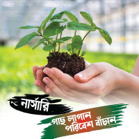 নার্সারী