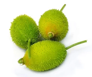 কাঁকরোল (১ কেজি)
