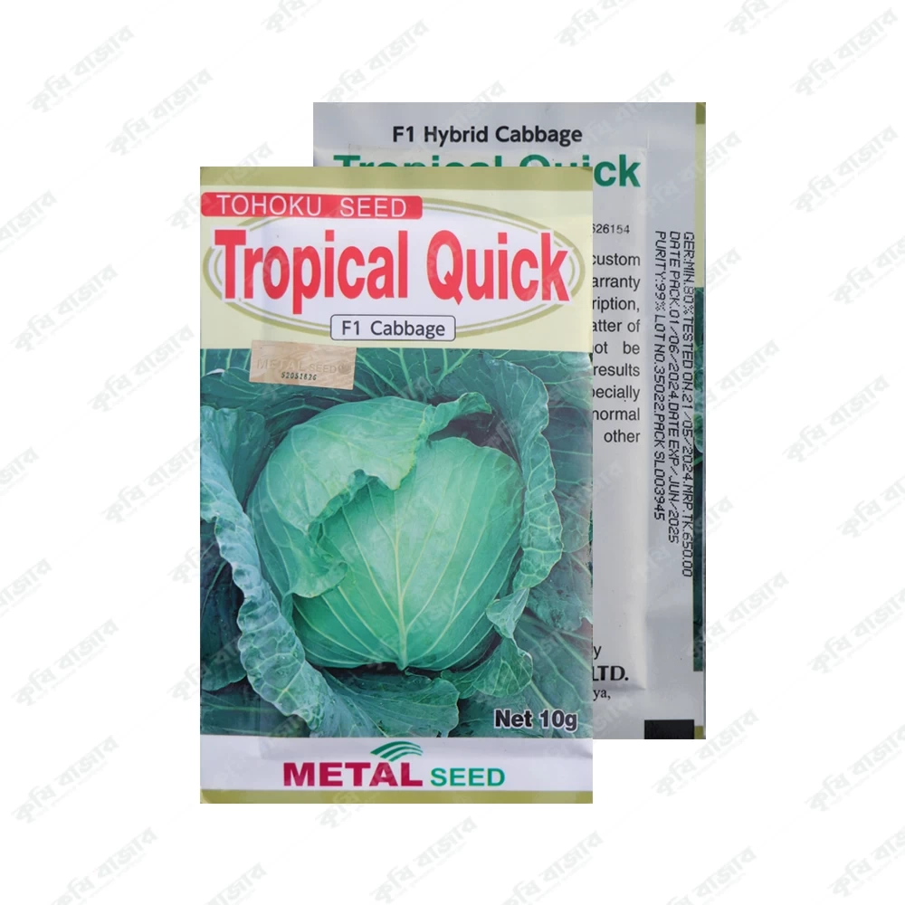 ট্রপিক্যাল কুইন -বাধাঁকপি- ১০ গ্রাম-Tohoku Seed Tropical Quick F1 Cabbage